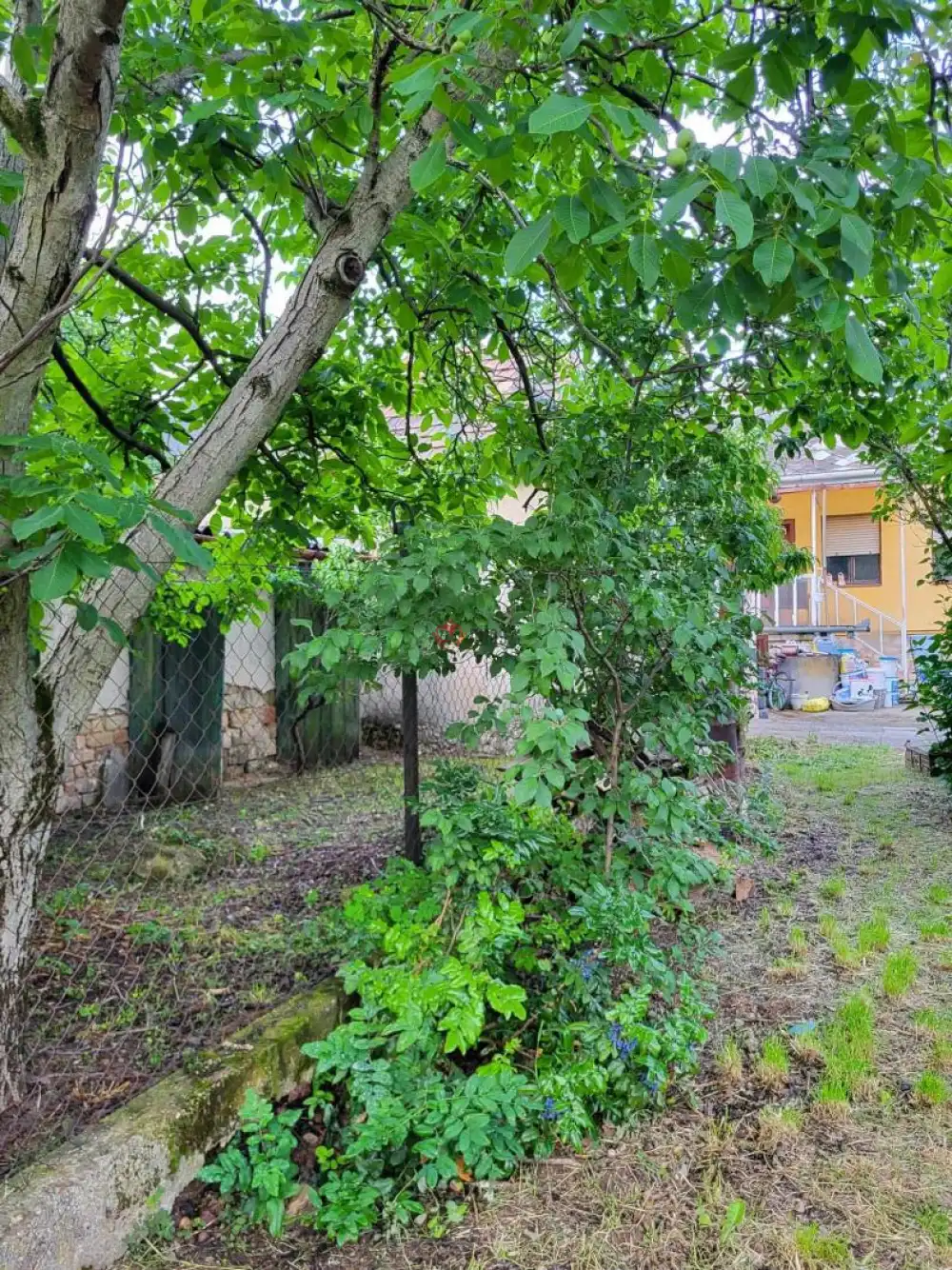 Komárom-Esztergom megye - Tata