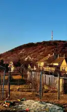 Komárom-Esztergom megye - Tatabánya
