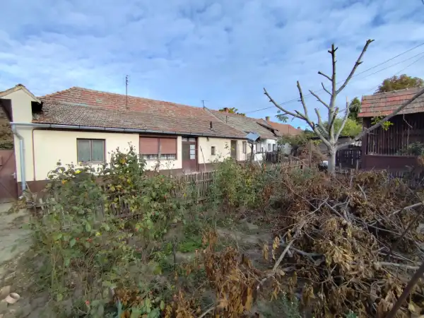 Eladó családi ház, Tiszaalpár 5 szoba 140 m² 24.6 M Ft