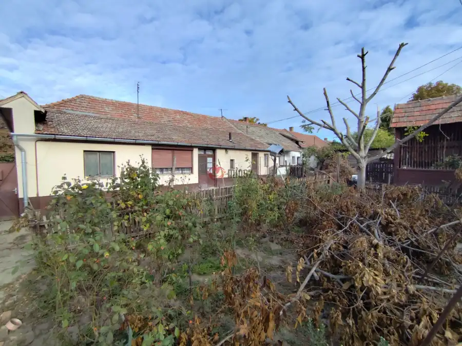 eladó családi ház, Tiszaalpár