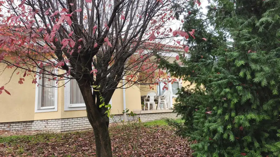 eladó családi ház, Tök