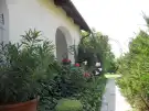 Pest megye - Tököl