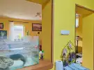 Pest megye - Tököl
