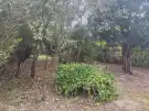 Zala megye - Zalaegerszeg