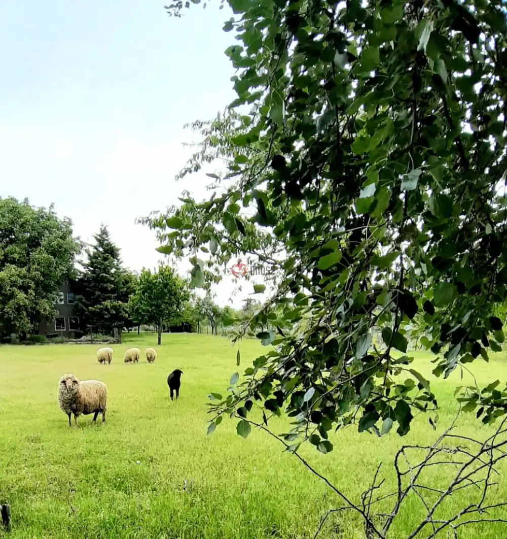 Budapest, XVII. kerület - Rákoshegy