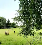 Budapest, XVII. kerület - Rákoshegy