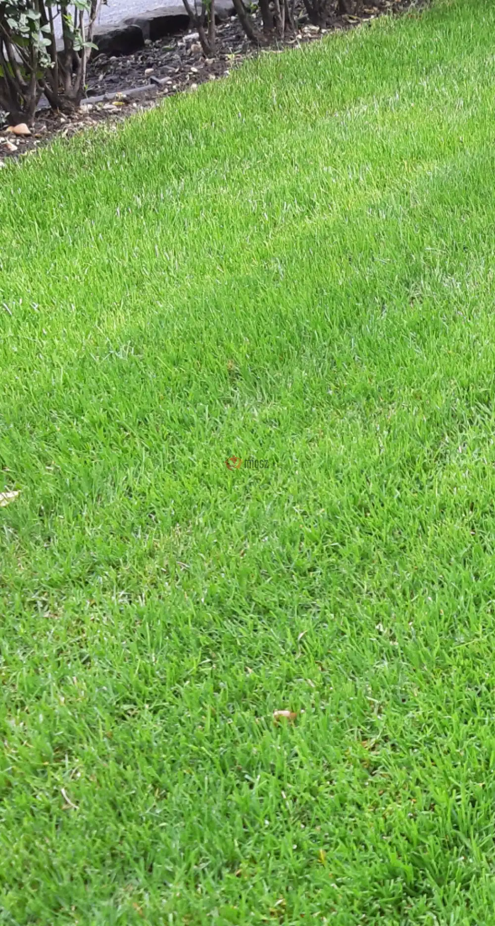 Budapest, XVII. kerület - Rákoshegy