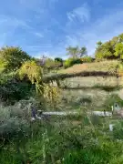 Budapest, XXII. kerület - Rózsavölgy