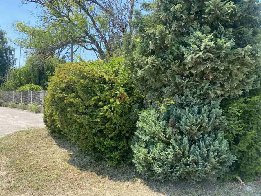 eladó  Építési telek, Dunaharaszti