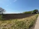 Komárom-Esztergom megye - Kisigmánd