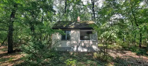 Eladó Építési telek, Kismaros 955 m² 29.9 M Ft