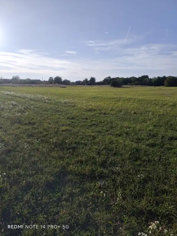 Eladó Építési telek, Mindszentpuszta 1790 m² 16.9 M Ft