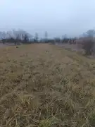 Pest megye - Szigetszentmiklós