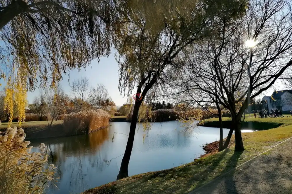 Pest megye - Taksony