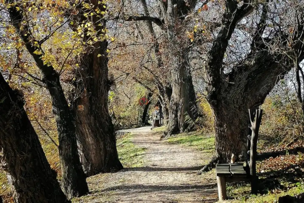 Pest megye - Taksony