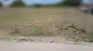 Pest megye - Tura