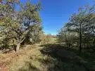 Pest megye - Vác
