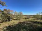 Pest megye - Vác