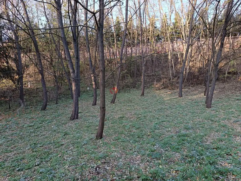 Pest megye - Veresegyház