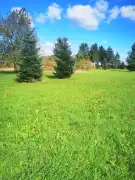Zala megye - Zalaboldogfa
