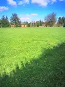 Zala megye - Zalaboldogfa
