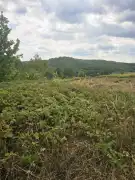 Zala megye - Zalaegerszeg