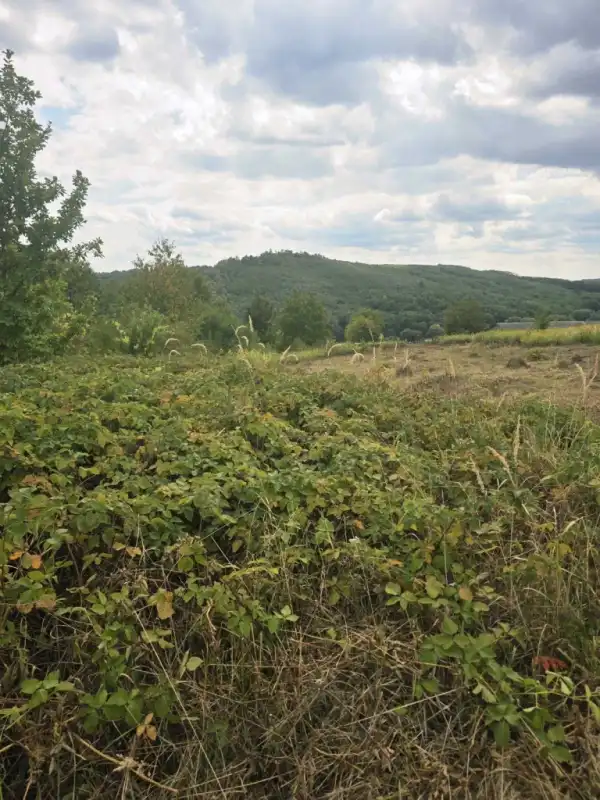 Eladó Építési telek, Zalaegerszeg 2780 m² 5.9 M Ft