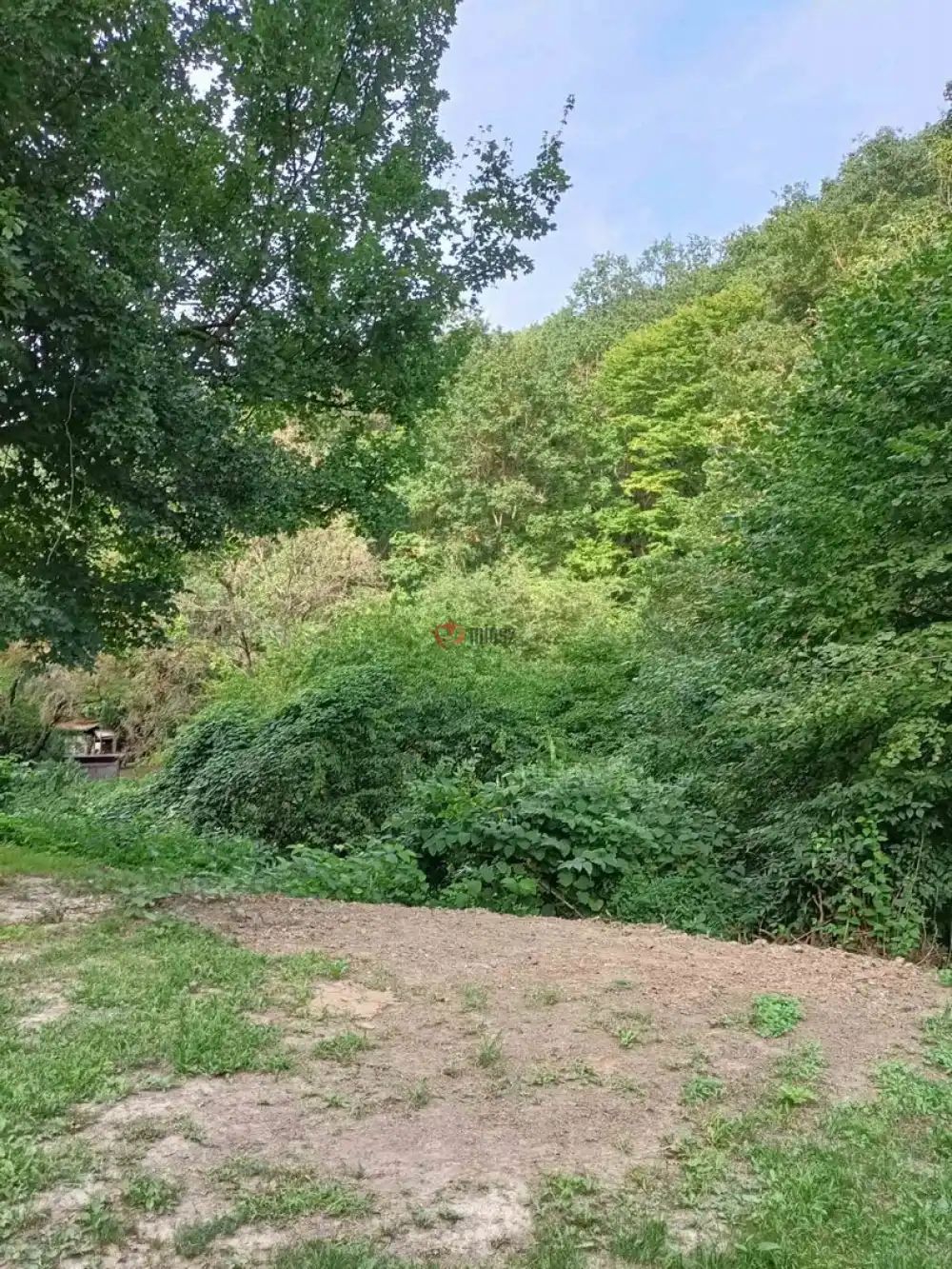 Pest megye - Zebegény