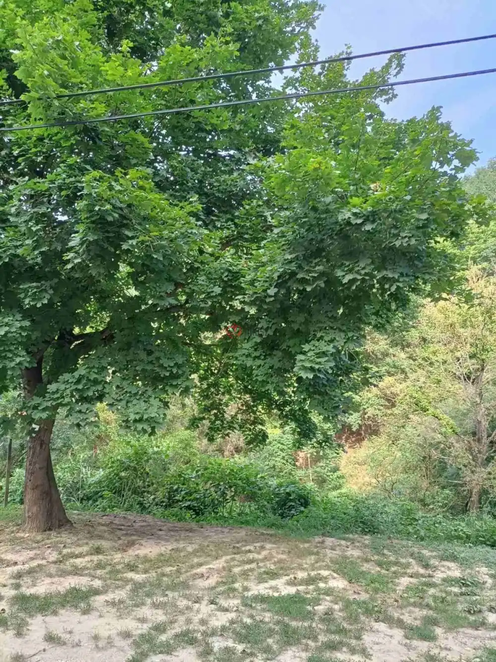 Pest megye - Zebegény