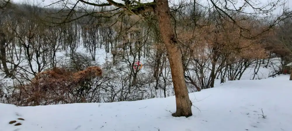 Pest megye - Zebegény