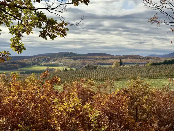 Eladó Erdő, Berkenye 1 m² 33 M Ft