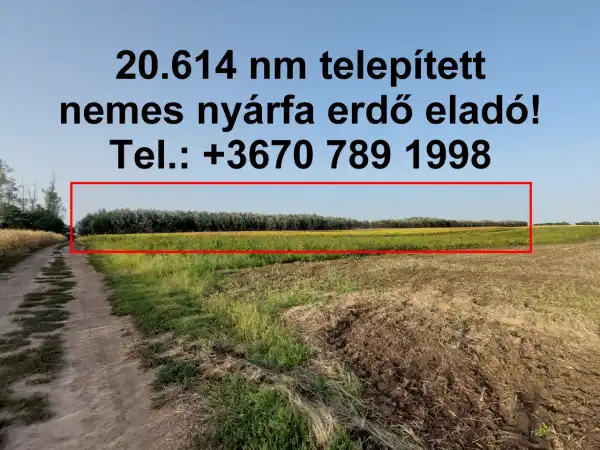 Eladó Erdő, Hajdúnánás 20617 m² 12.88 M Ft