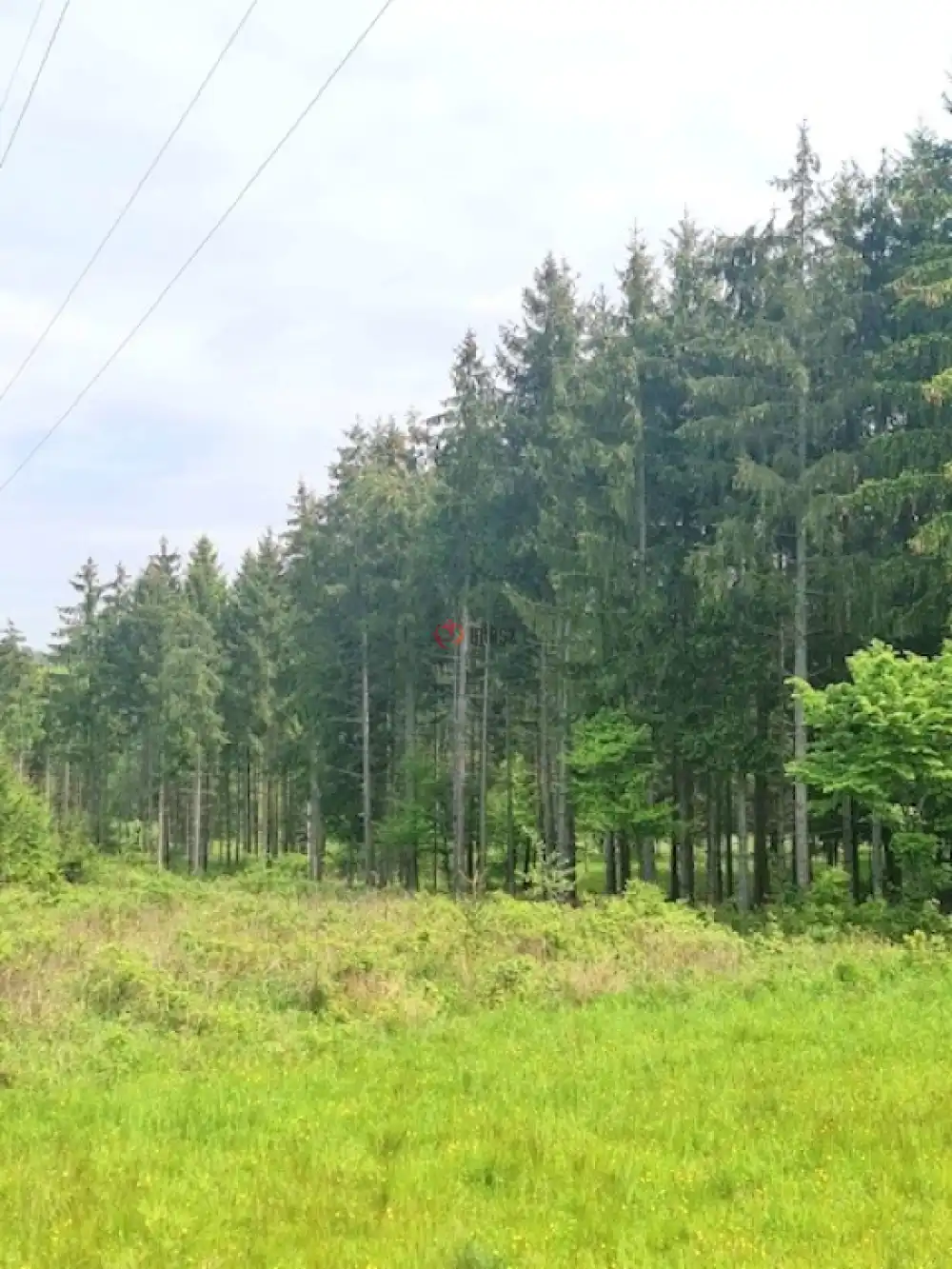 Vas megye - Nagyrákos