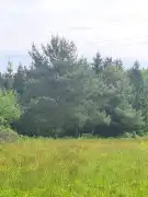 Vas megye - Nagyrákos