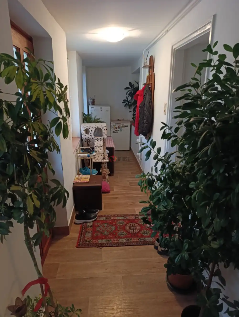 Bács-Kiskun megye - Baja