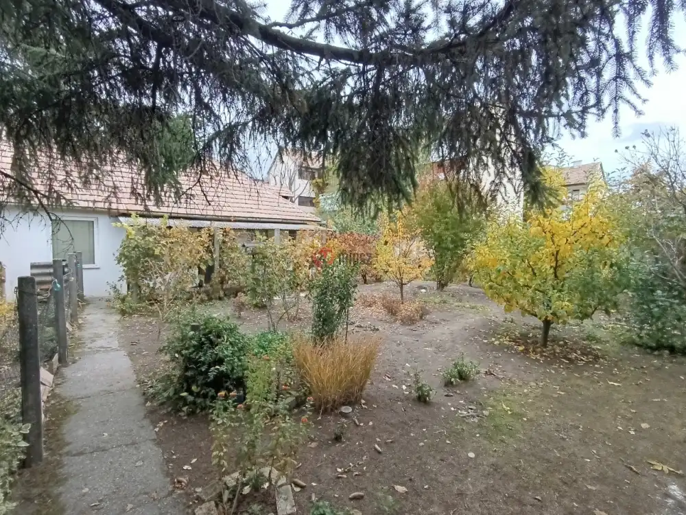 Bács-Kiskun megye - Baja