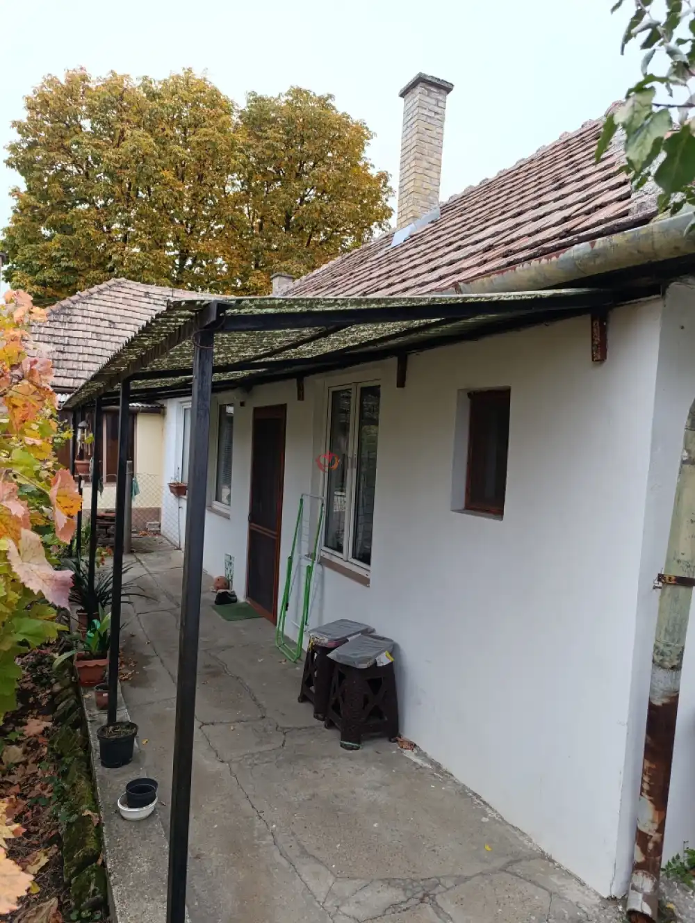 Bács-Kiskun megye - Baja