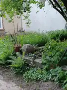 Budapest, XXIII. kerület - Soroksár