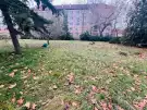 Komárom-Esztergom megye - Almásfüzitő