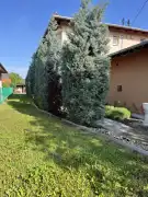 Pest megye - Dunaharaszti