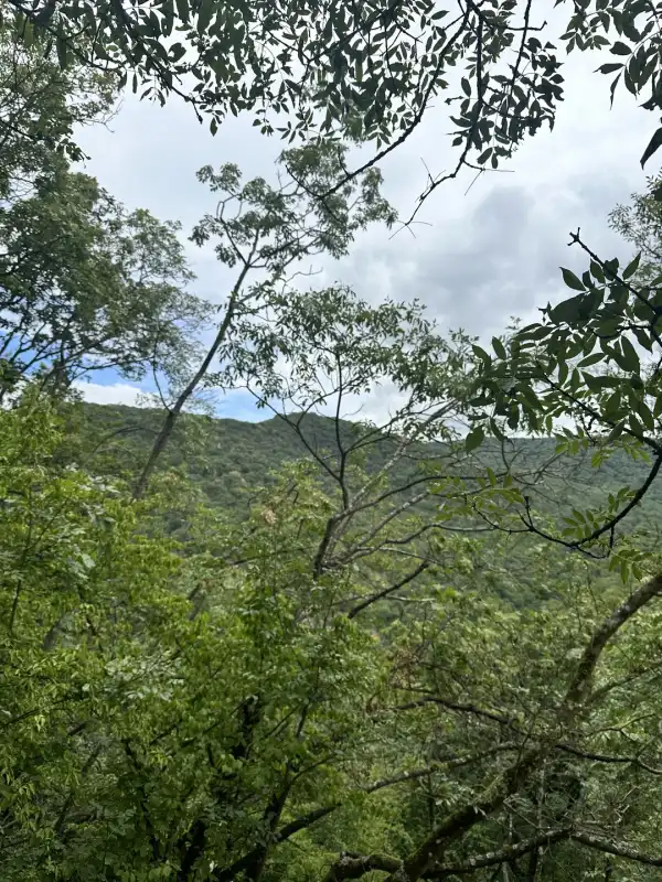 Eladó Ipari és kereskedelmi telek, Törökbálint 1448 m² 37 M Ft