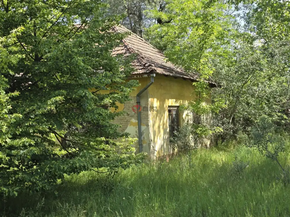Bács-Kiskun megye - Bácsszőlős