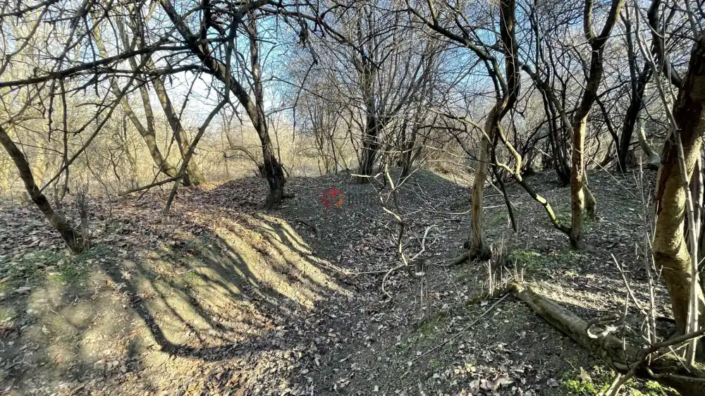 Komárom-Esztergom megye - Baj