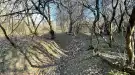 Komárom-Esztergom megye - Baj