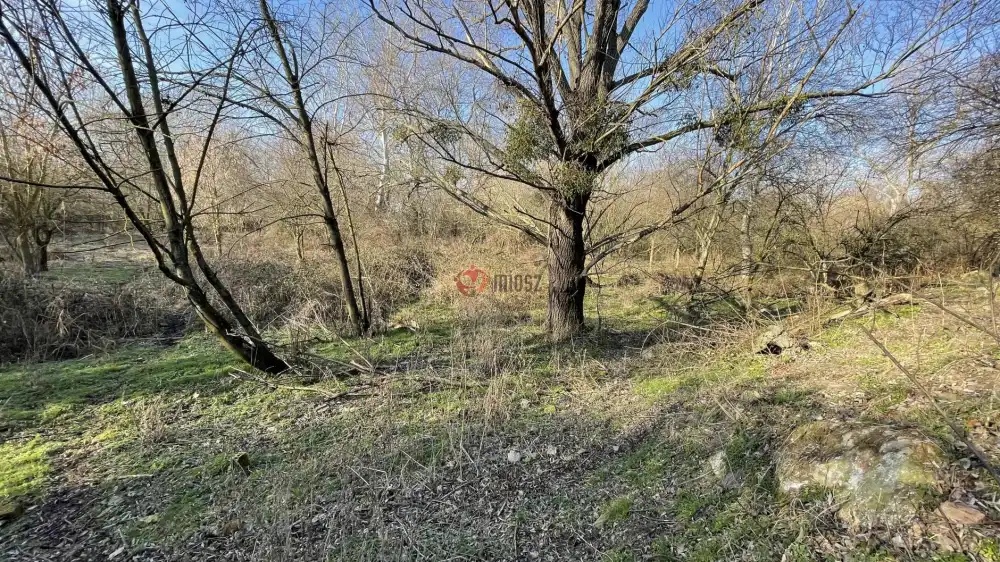 Komárom-Esztergom megye - Baj