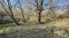Komárom-Esztergom megye - Baj
