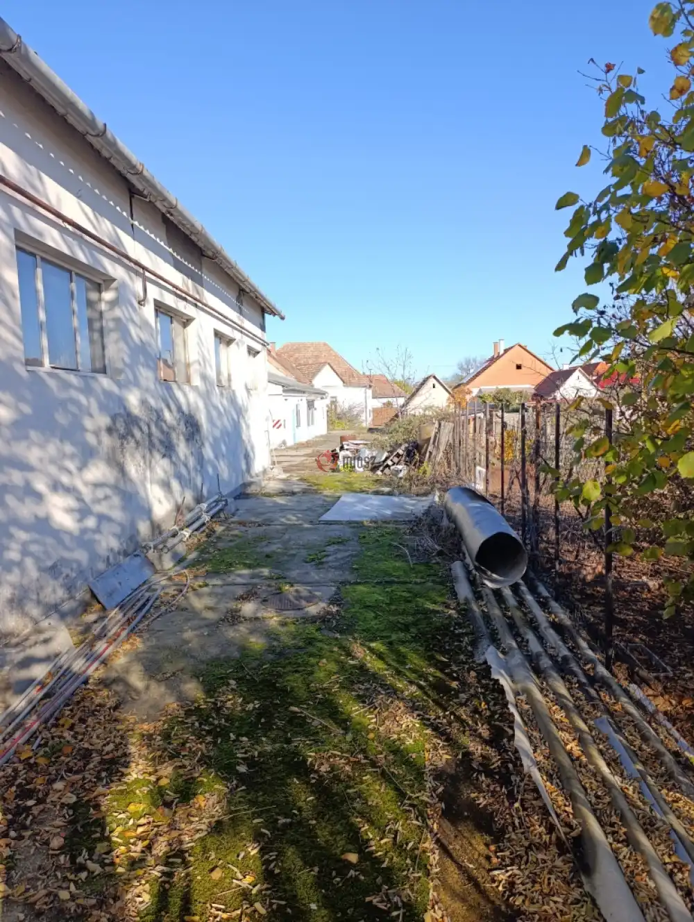 Bács-Kiskun megye - Baja