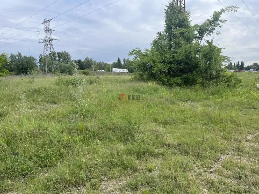 Budapest, XVIII. kerület - Halmierdő