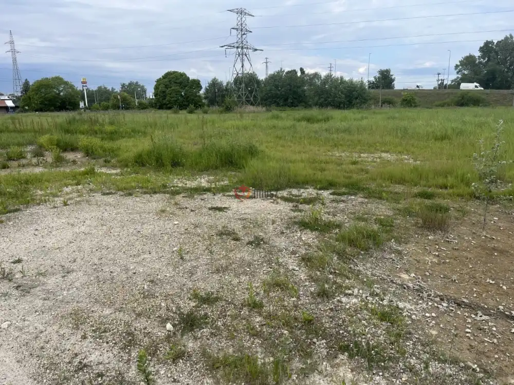 Budapest, XVIII. kerület - Halmierdő