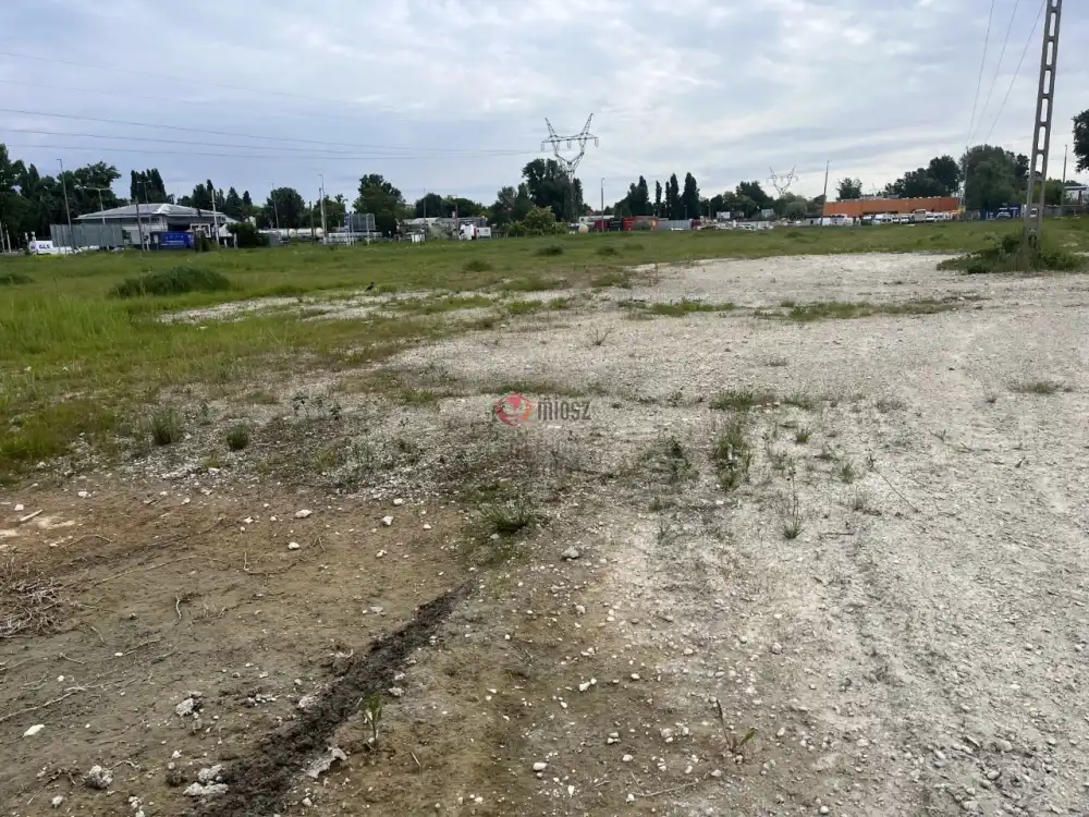 Budapest, XVIII. kerület - Halmierdő